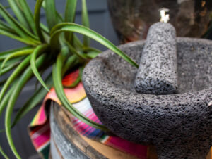 Mortar and Pestle next to a plant